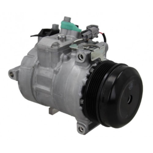 Compressore dell&#039;aria condizionata DENSO DCP17179 sostituisce ACP01141 / 4472807090