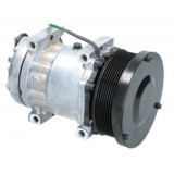 Compressore dell'aria condizionata SANDEN SD7H154131 sostituisce SD7H154769