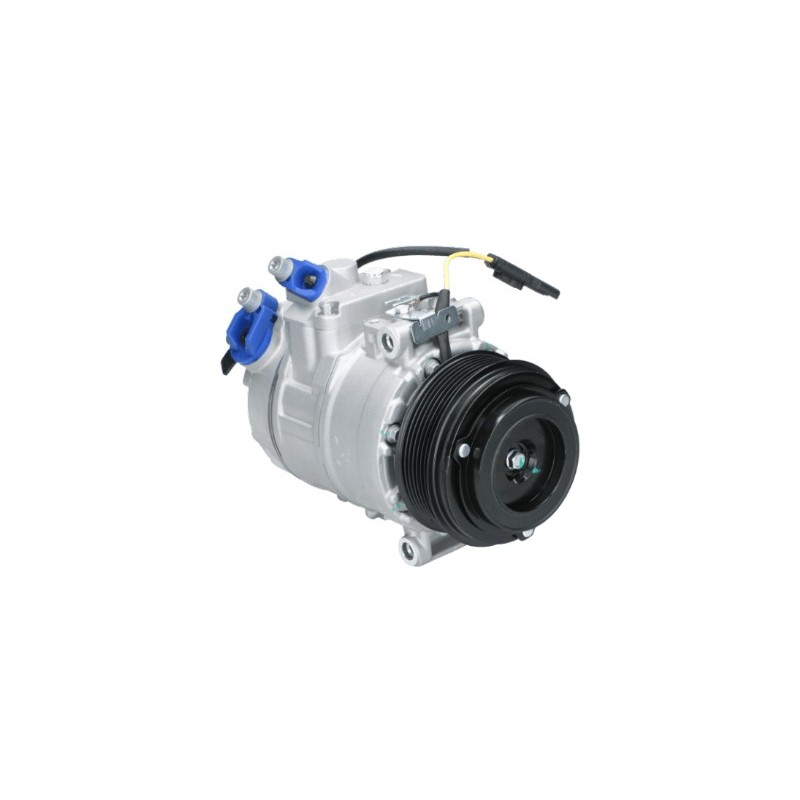 AC compressor replacing DCP05077 / ACP113000S / 9196889 / 6987890 / 2473006270