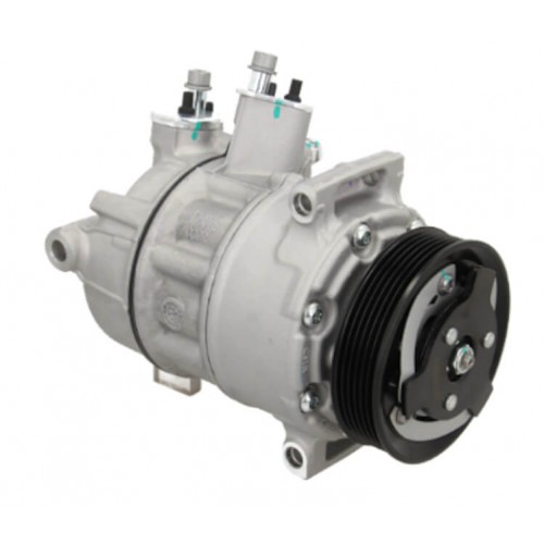 AC compressor SANDEN PXE168420 replacing ACP576000P