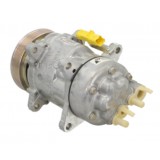 Compressore dell'aria condizionata SANDEN SD6V121437 sostituisce ACP1253000P