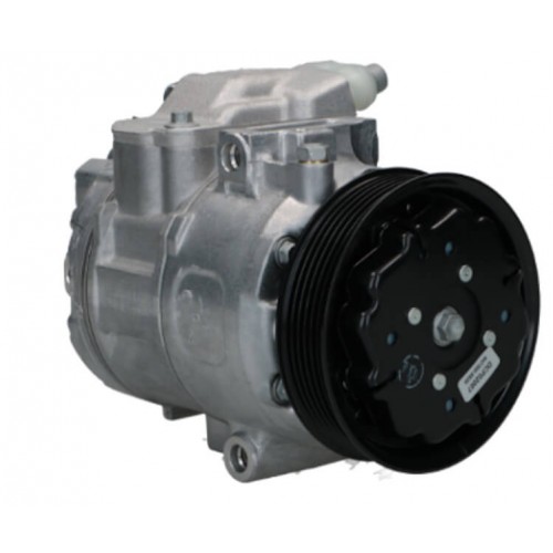 Compressore dell'aria condizionata DENSO DCP02007 sostituisce 4471502225 / PXE138740