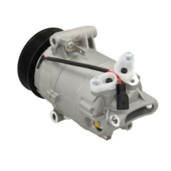 Compresseur de climatisation remplace ACP164000S / C813262B / TSP0155928 Compresseur de climatisation remplace ACP164000S / C813262B / TSP0155928