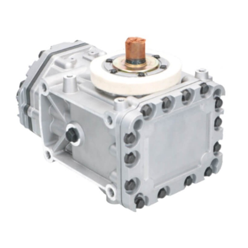 Compressore dell'aria condizionata sostituisce ACP1089000P / 80417398 Compressore dell'aria condizionata sostituisce ACP1089000P / 80417398