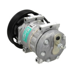 Compressore dell'aria condizionata SANDEN SD7H154358 sostituisce ACP662000P