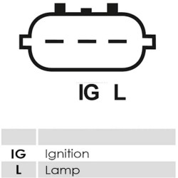 Lichtmaschine ersetzt DENSO 100213-2530 / 100213-2391 für LAND ROVER Lichtmaschine ersetzt DENSO 100213-2530 / 100213-2391 für LAND ROVER