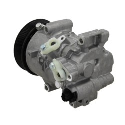 Compresor del aire acondicionado sustituye DCP50311 / 4472806581 / 2483003270