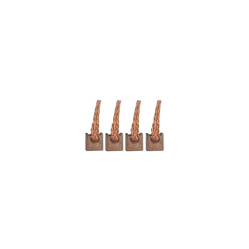 Brush Set for starter VALEO D8R