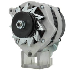 Lichtmaschine für CX / c25 / j5 ersetzt 436248 / 436435 / A14N90 / A14N91