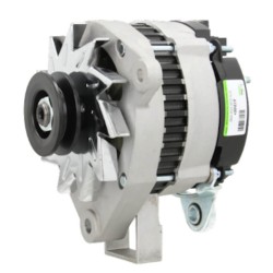 Alternatore sostituisce A13N50 / 432753 / 433446 Renault 50A