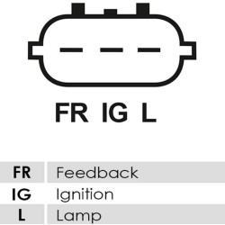 Lichtmaschine ersetzt 102211-1950 / 102211-1960 / 102211-9070