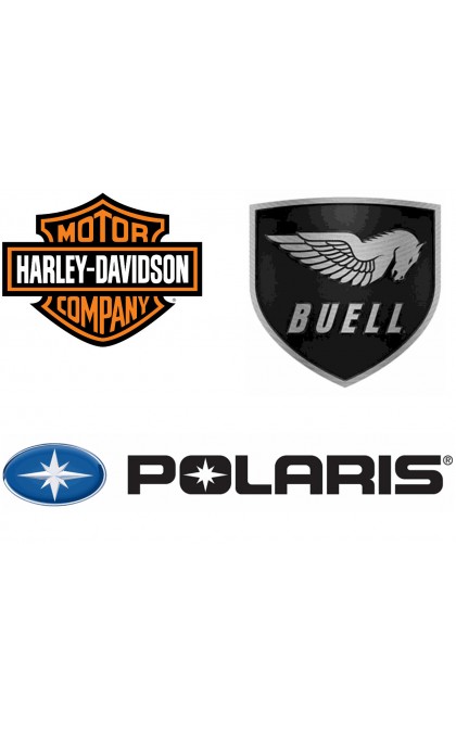 Alternatore per BUELL / HARLEY-DAVIDSON / POLARIS Moto / Quad