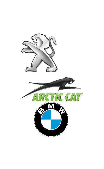 Anlasser für ARTIC CAT / BMW / BMS MOTORSPORT / PEUGEOT